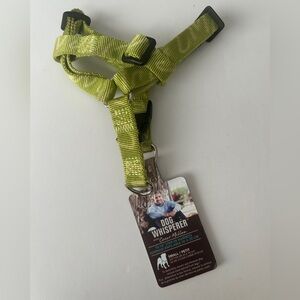 Green Dog Harness Small